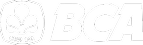 Bank bca